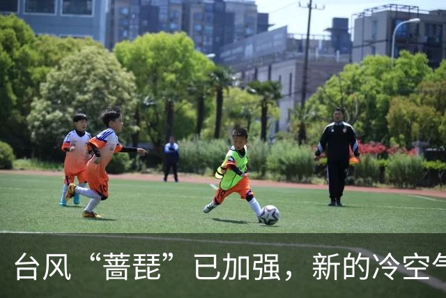 台风“蔷琵”已加强，新的冷空气又来了！茂名最低气温或降至……